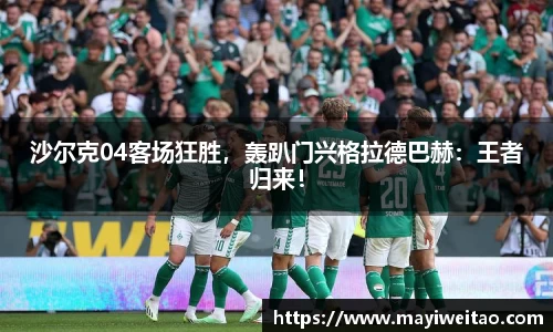 3377体育官网