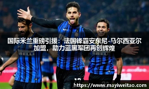 3377体育官网