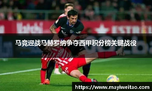 3377体育官网